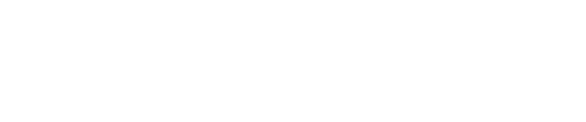 Nginx logo